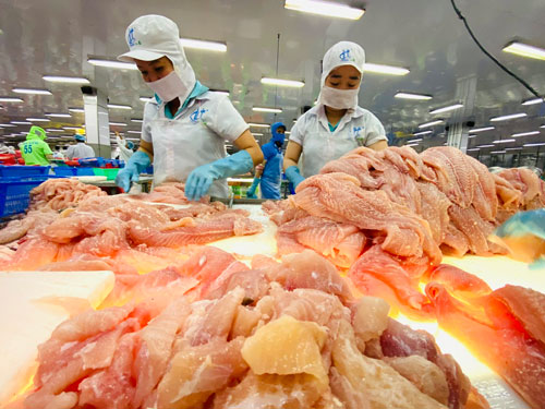 ĐBSCL tháo điểm nghẽn để thu hút đầu tư - Ảnh 1.