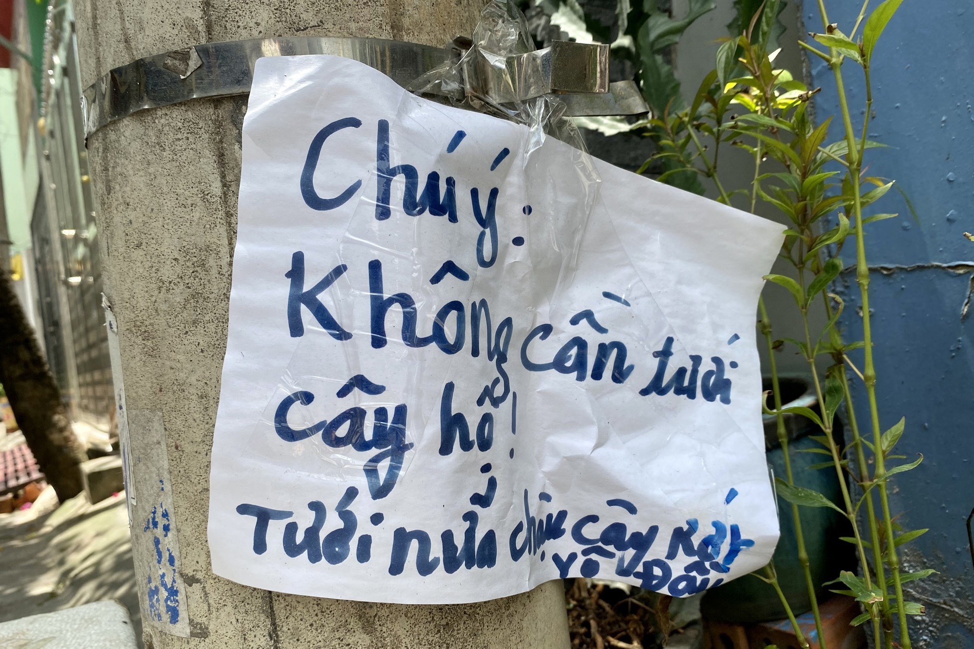 CLIP: Chi&ecirc;u m&uacute;a chổi của người h&agrave;ng x&oacute;m khiến h&agrave;ng chục hộ d&acirc;n mất ngủ - Ảnh 6.