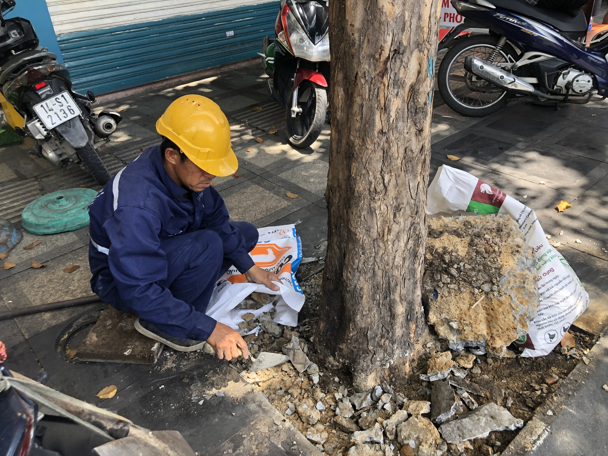 H&agrave;ng c&acirc;y bị bức tử tr&ecirc;n đường v&agrave;o s&acirc;n bay T&acirc;n Sơn Nhất được giải cứu - Ảnh 6.