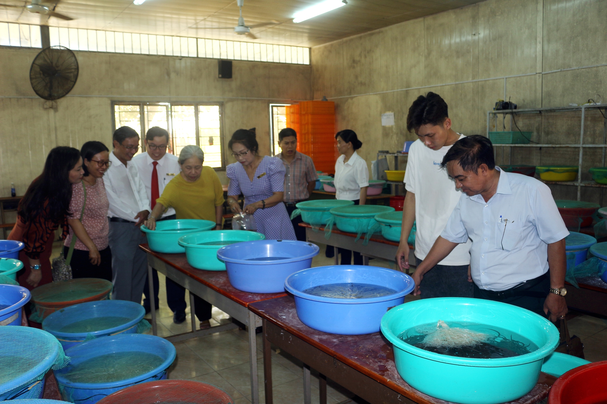 4 sản phẩm, mô hình nghiên cứu độc đáo của Trường ĐH Cửu Long