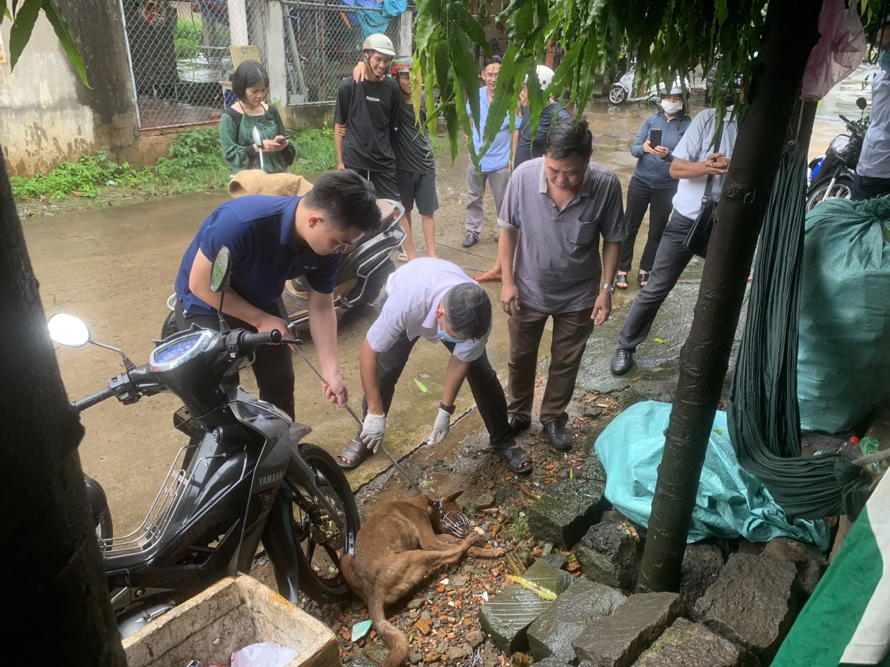 Đồng Nai: B&eacute; 2 tuổi bị ch&oacute; nh&agrave; cắn r&aacute;ch mặt - Ảnh 1.