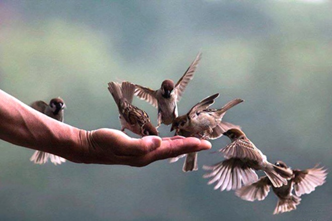 Có nhiều cách thể hiện lòng tốt