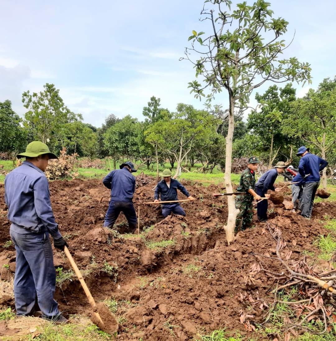 Hơn 254.000 liệt sĩ hoàn toàn thiếu thông tin - Ảnh 1.