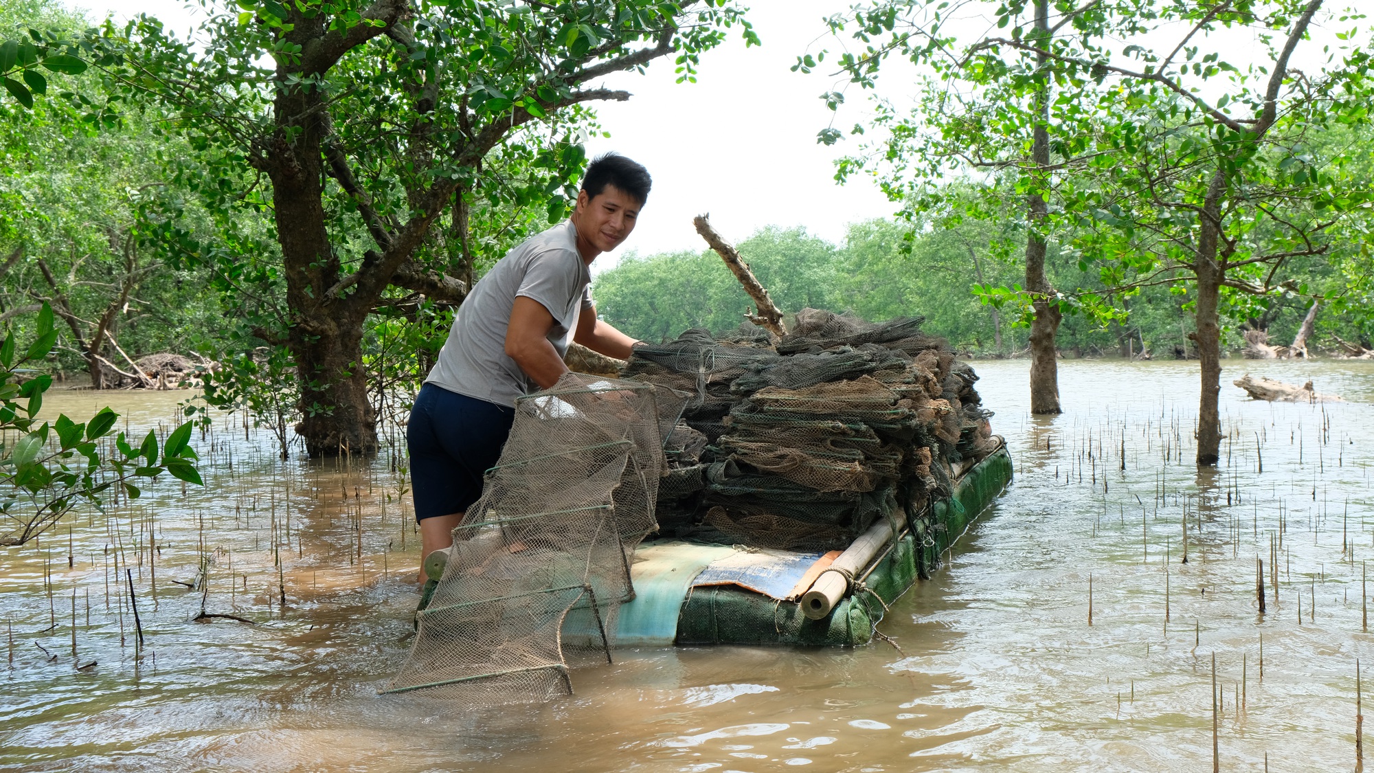Nỗ lực trồng rừng được đền đ&aacute;p - Ảnh 2.