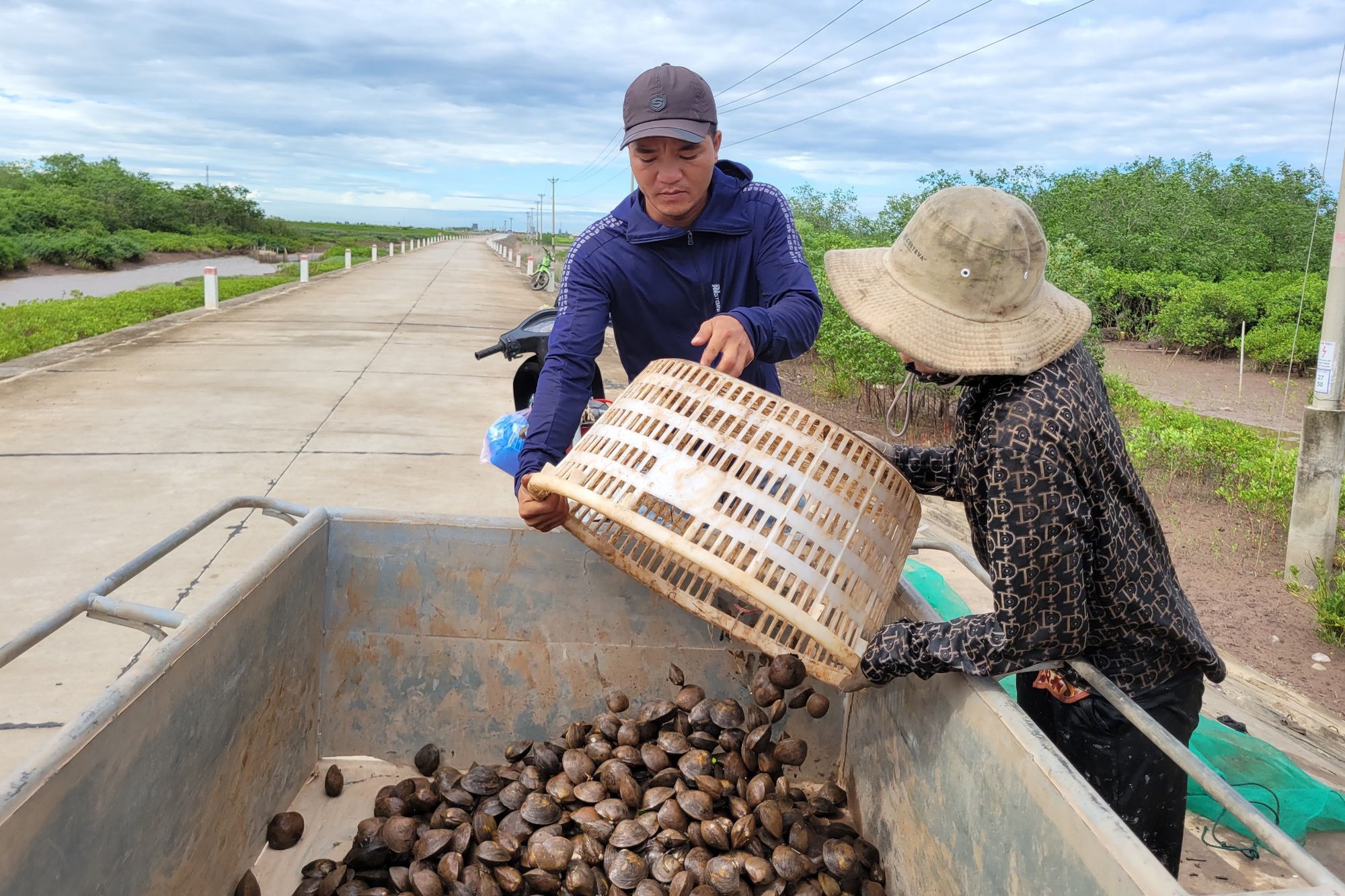 Nỗ lực trồng rừng được đền đ&aacute;p - Ảnh 3.