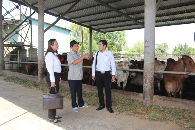 Long An ứng dụng công nghệ cao gắn với tái cơ cấu nông nghiệp