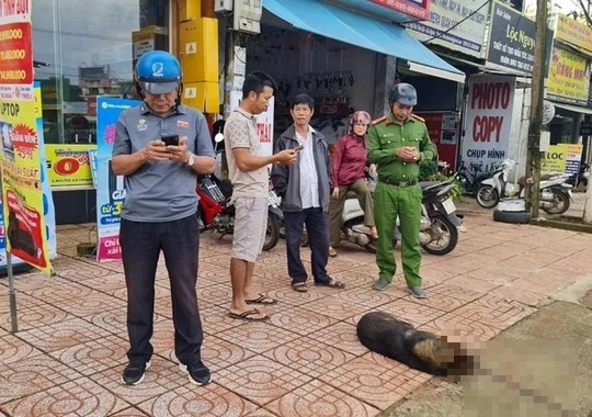2 học sinh bị chó lạ tấn công trước cổng trường - Ảnh 1.