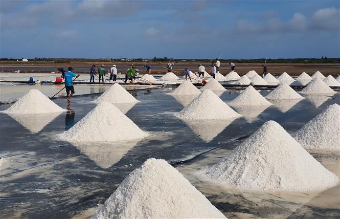 Cuộc thi "Tự hào hàng Việt": Tự hào muối hồng Bạc Liêu