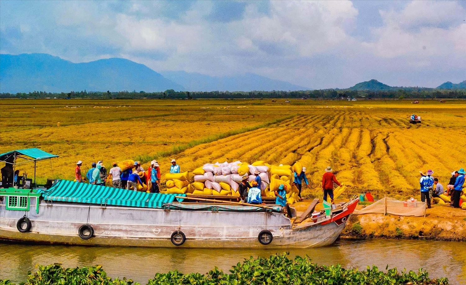Đẩy mạnh cho vay nông nghiệp