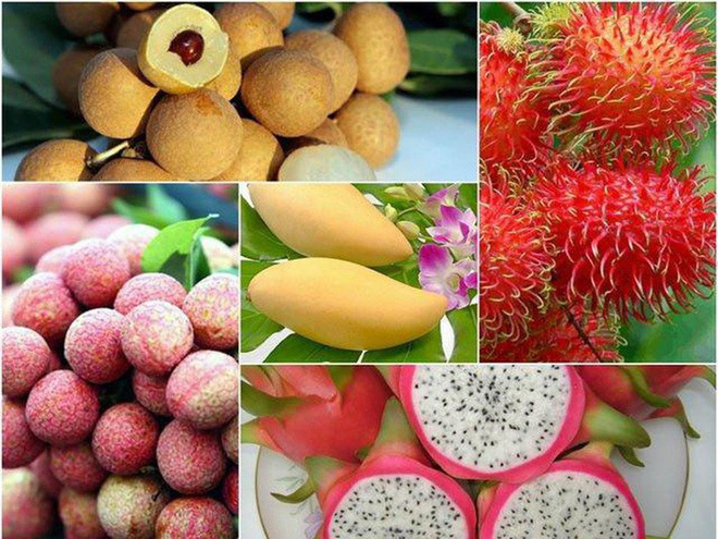 Cuộc thi “Tự hào hàng Việt”: Bóng hình quê hương