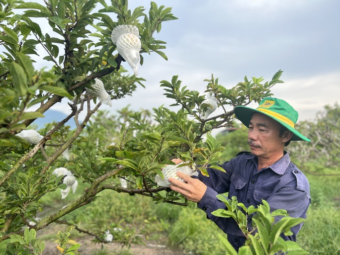 C&oacute; g&igrave; đặc biệt tại sự kiện Ng&agrave;y T&acirc;y Ninh tại H&agrave; Nội? - Ảnh 4.