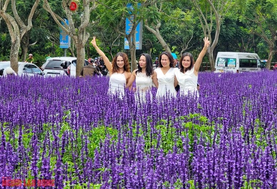 C&aacute;nh đồng hoa nữ ho&agrave;ng xanh đẹp lung linh, phục vụ miễn ph&iacute; giữa l&ograve;ng Đ&agrave; Lạt - Ảnh 9.
