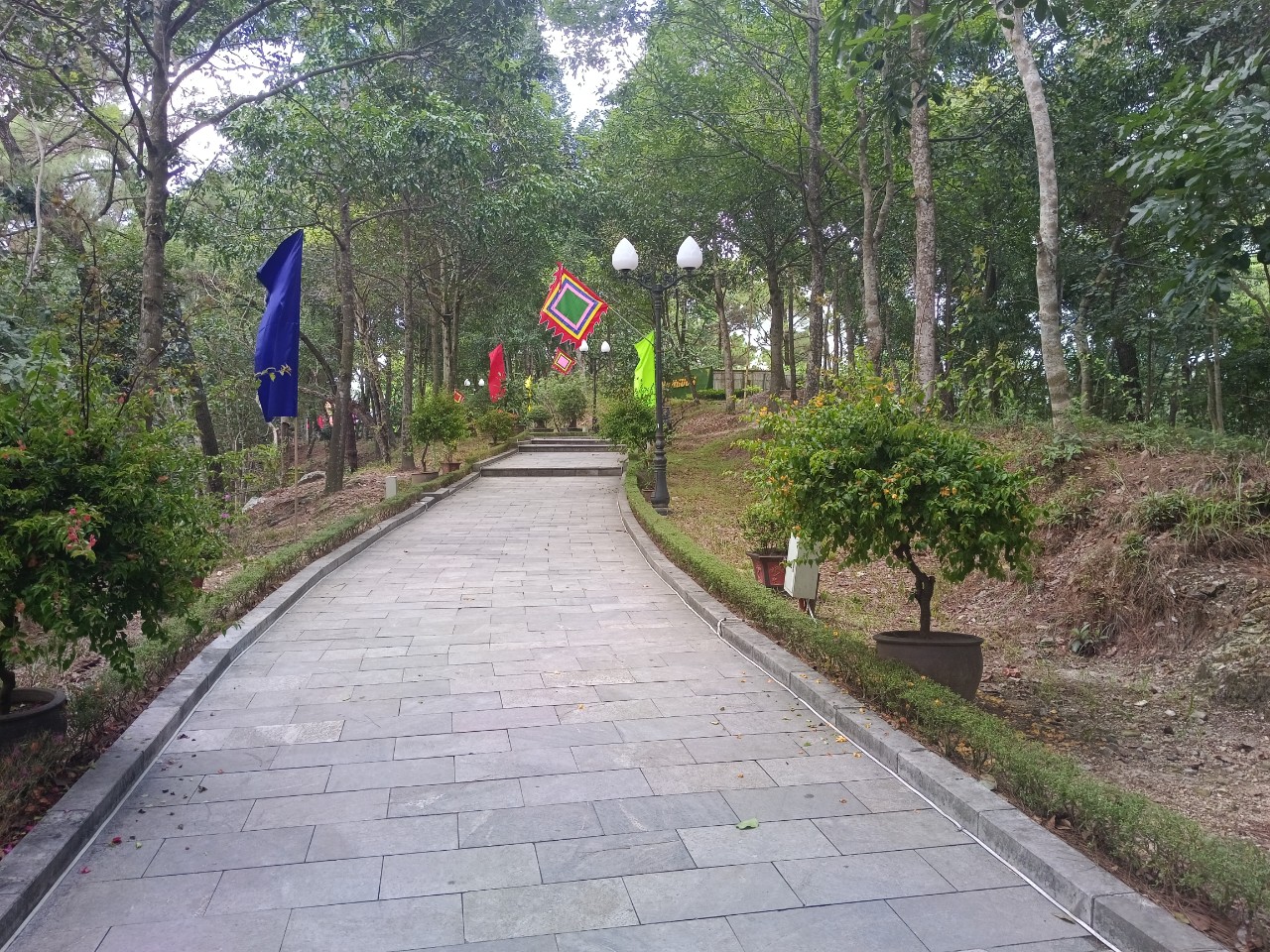 Kh&aacute;t vọng dang dở của Ho&agrave;ng đế Quang Trung - Ảnh 9.