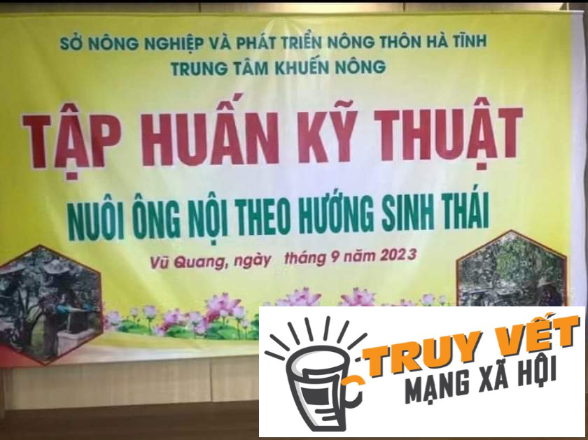 Sự thật về tấm băng-r&ocirc;n 