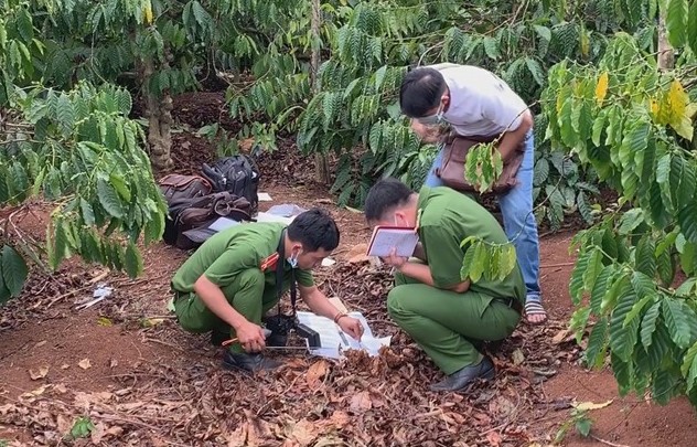 Tá hỏa phát hiện bộ xương người lộ thiên trong vườn cà phê