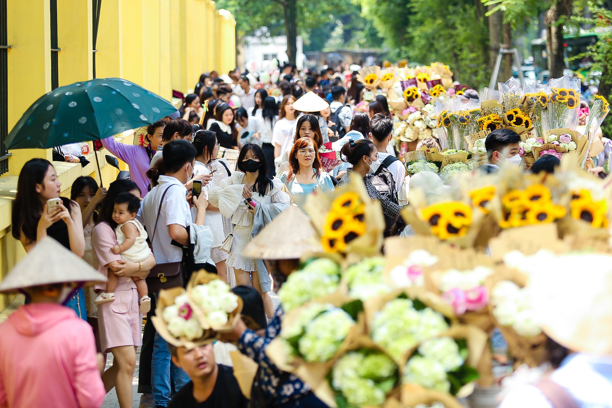 Người dân đổ về tuyến phố 3 hàng cây xanh mát ở thủ đô "săn" ảnh đẹp ngày Tết Độc lập