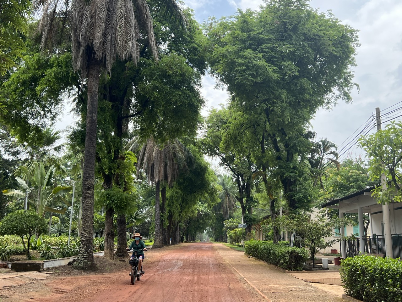 Chuyện ở làng phong Bến Sắn - Ảnh 1.