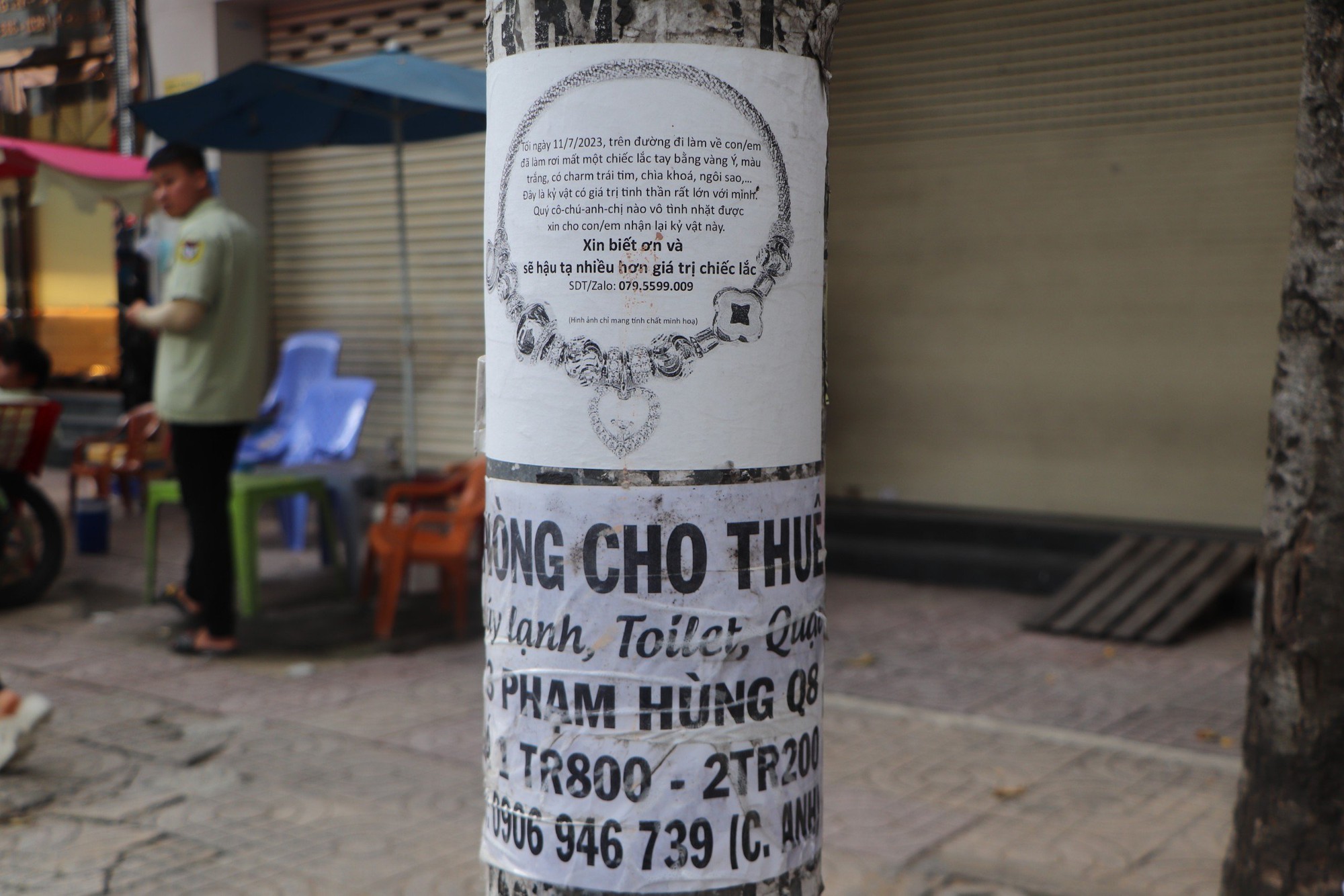 TP HCM: V&igrave; sao quận 5 ốp thảm cỏ nhựa tại c&aacute;c cột điện, trụ đ&egrave;n chiếu s&aacute;ng? - Ảnh 5.