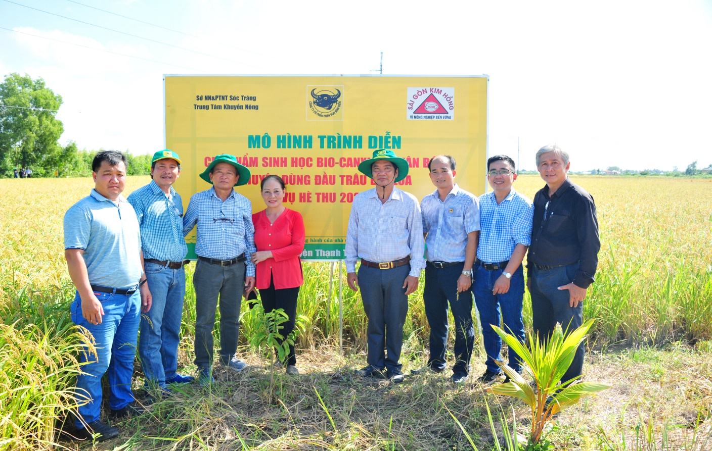 Đ&atilde; mắt với đồng l&uacute;a rực s&aacute;ng nhờ canh t&aacute;c th&ocirc;ng minh - Ảnh 5.