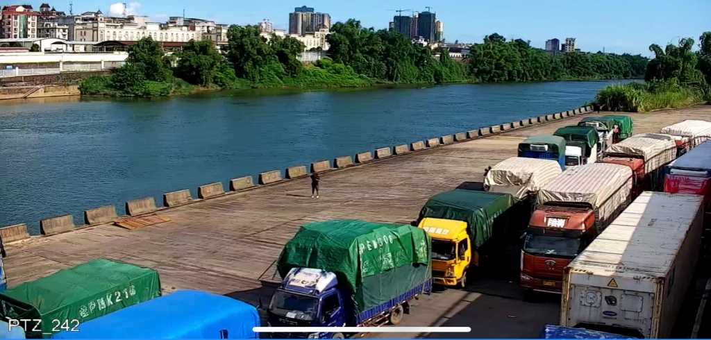 Ùn ứ tại cửa khẩu Móng Cái, hải sản tươi sống chết hàng loạt - Ảnh 1.
