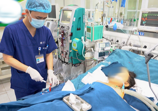 Bé trai tử vong vì ong vò vẽ đốt hơn 100 nốt trên đường đi học