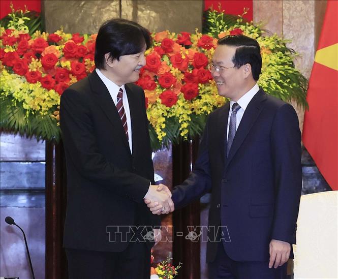 Chủ tịch nước v&agrave; Phu nh&acirc;n tiếp Ho&agrave;ng Th&aacute;i tử Nhật Bản v&agrave; C&ocirc;ng nương - Ảnh 4.
