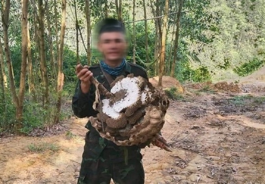 Từ Nghệ An ra Thanh Hóa săn ong, nam thanh niên được phát hiện chết trong rừng