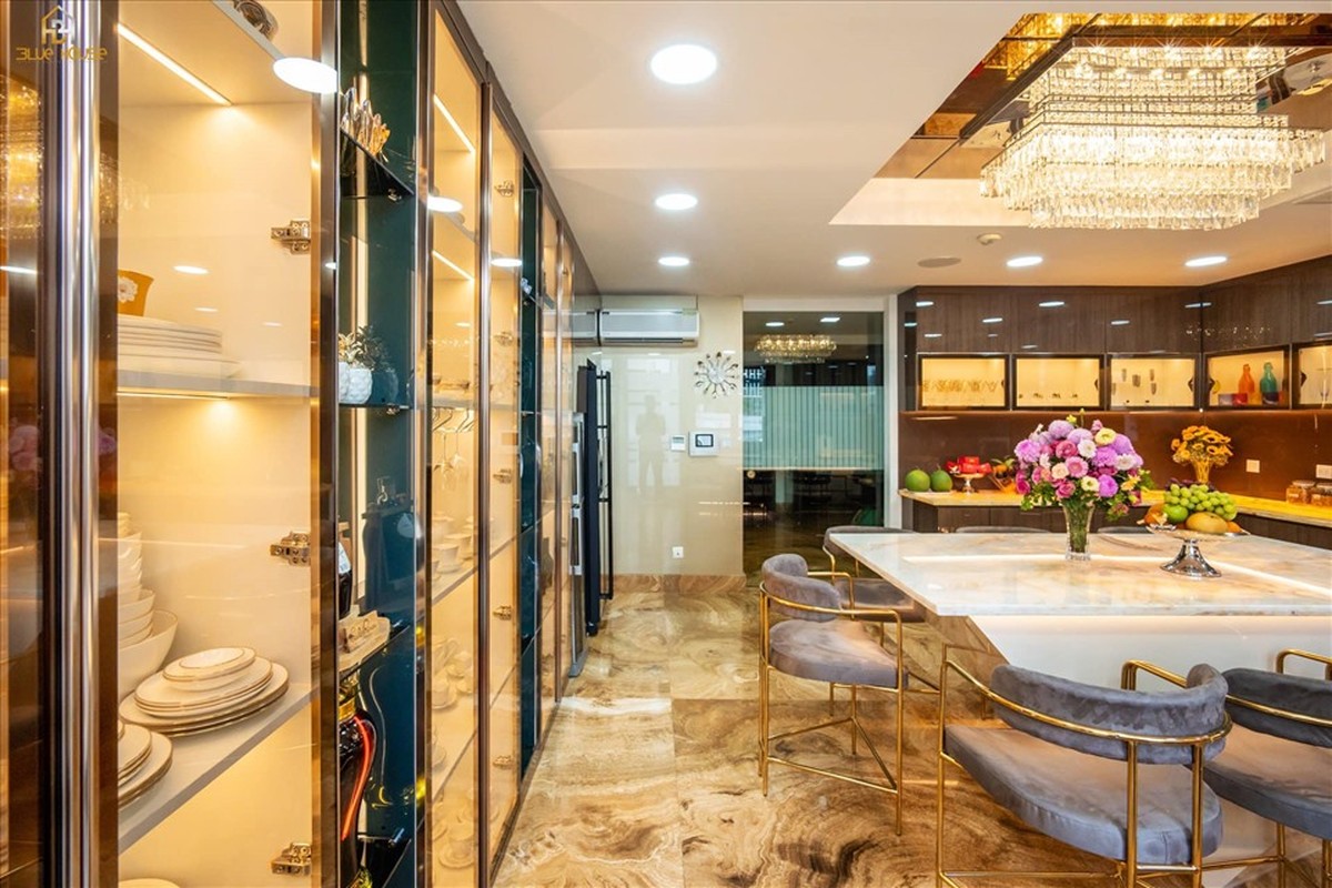 Toàn cảnh biệt thự 60 tỉ đồng của Đàm Vĩnh Hưng ở TP HCM - Ảnh 1.