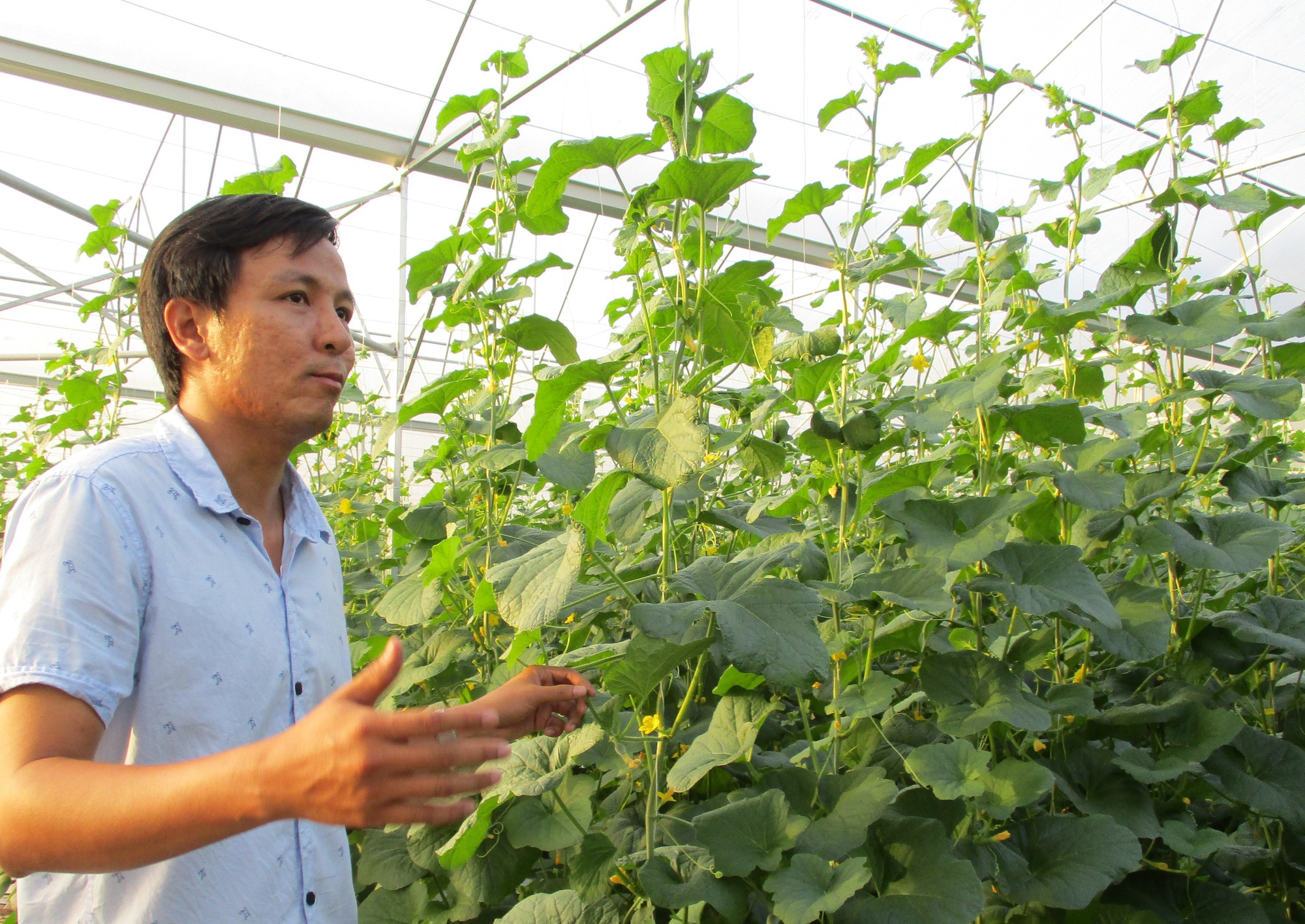 Khởi nghiệp từ vườn ươm