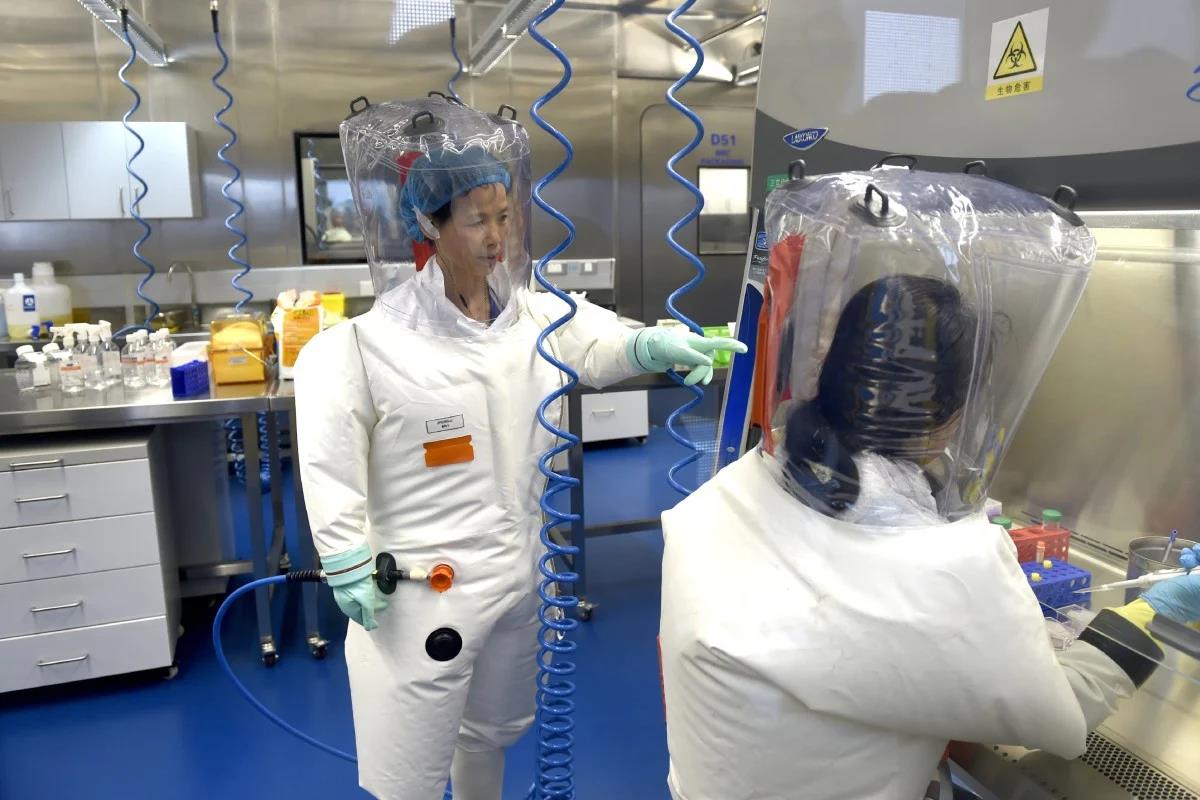 Quý bà dơi Vũ Hán cảnh báo về 20 loại virus corona mới - Ảnh 1.