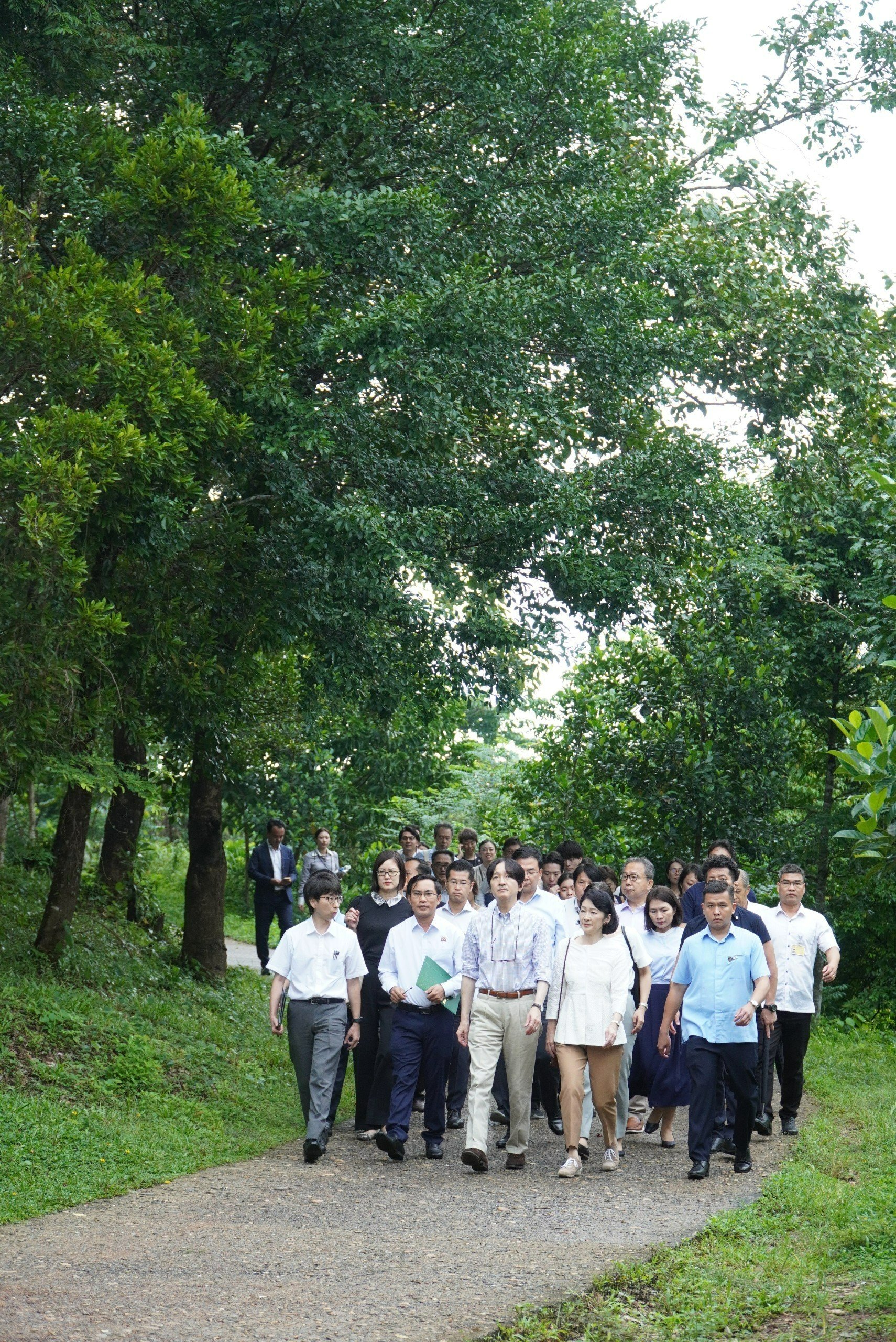 Ho&agrave;ng Th&aacute;i tử Nhật Bản v&agrave; C&ocirc;ng nương tham quan Mỹ Sơn - Ảnh 3.