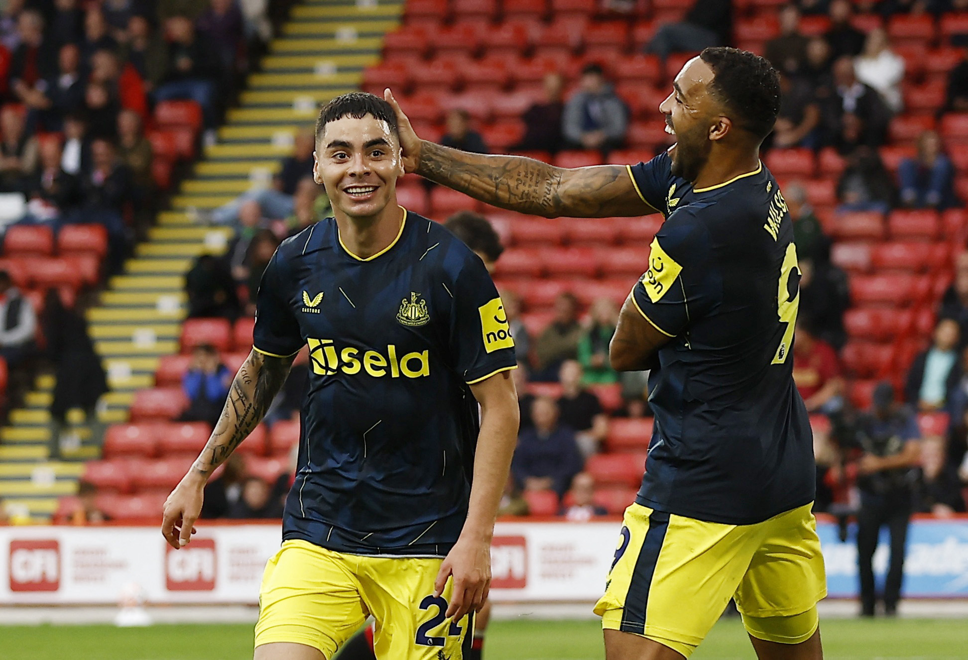 Newcastle thắng hủy diệt 8-0 Sheffield United, kỷ lục cho&aacute;ng v&aacute;ng Ngoại hạng Anh - Ảnh 5.