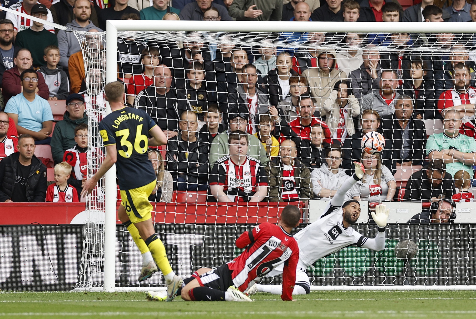 Newcastle thắng hủy diệt 8-0 Sheffield United, kỷ lục cho&aacute;ng v&aacute;ng Ngoại hạng Anh - Ảnh 2.