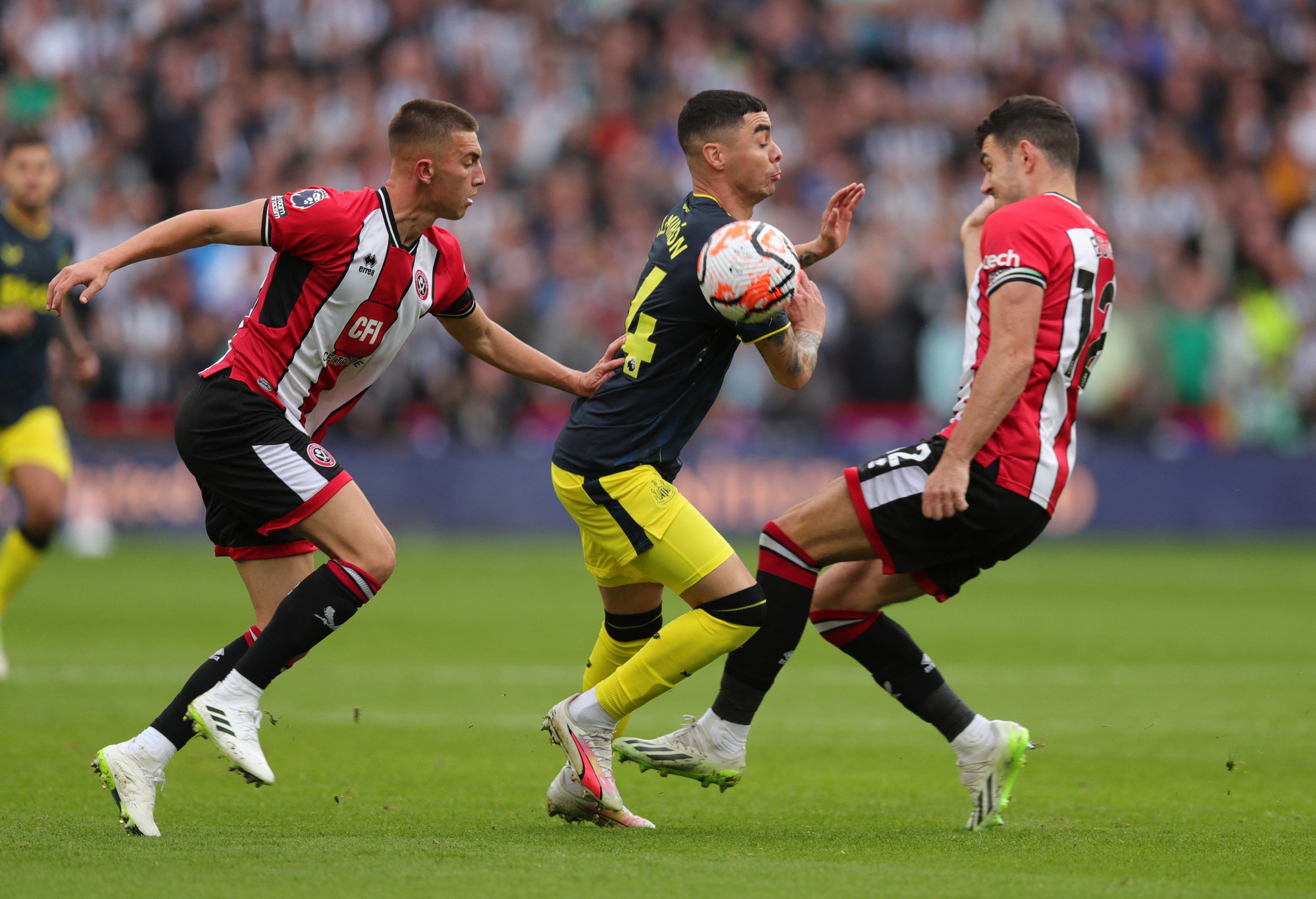 Newcastle thắng hủy diệt 8-0 Sheffield United, kỷ lục cho&aacute;ng v&aacute;ng Ngoại hạng Anh - Ảnh 1.