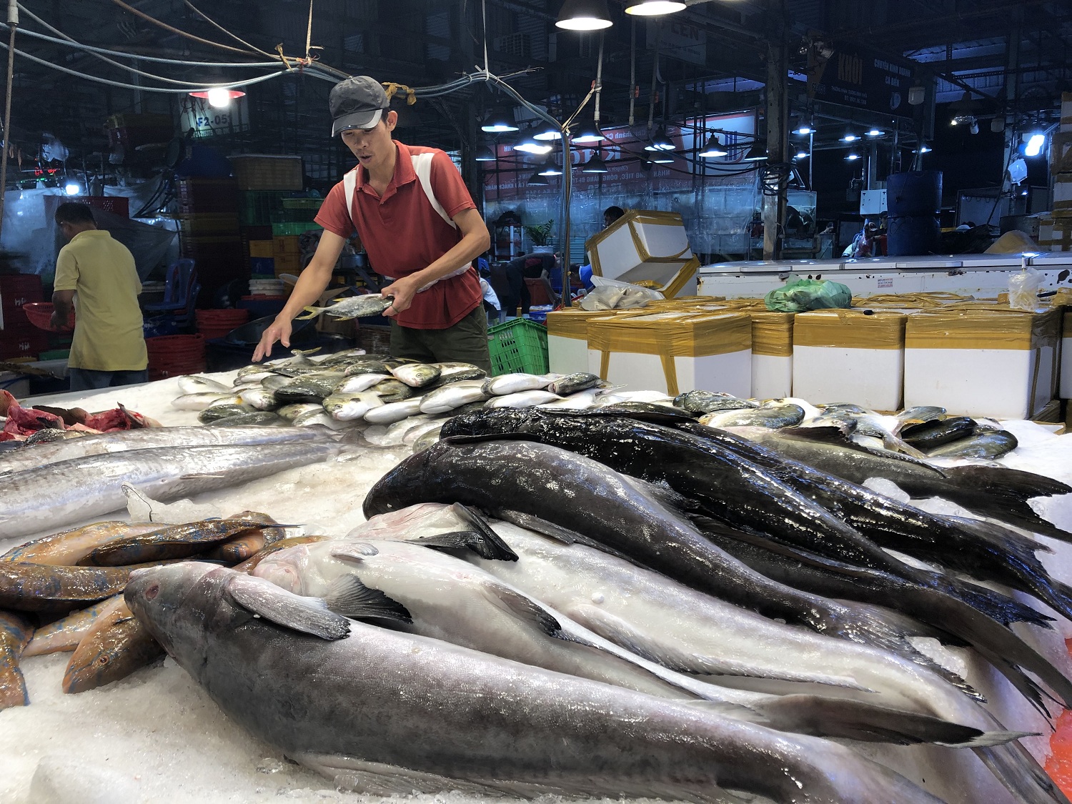 Chợ Bình Điền: Biểu tượng của sự phát triển và đổi mới - Ảnh 2.