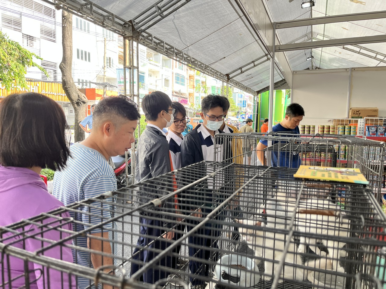 TP HCM: Khám chữa bệnh miễn phí cho thú cưng, trưng bày chim săn mồi tại Tuần lễ sinh vật cảnh 2023