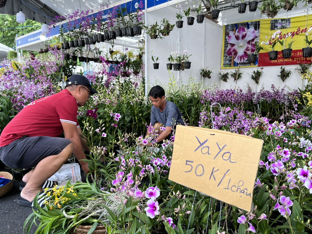 TP HCM: Kh&aacute;m chữa bệnh miễn ph&iacute; cho th&uacute; cưng, trưng b&agrave;y chim săn mồi tại Tuần lễ sinh vật cảnh 2023 - Ảnh 4.
