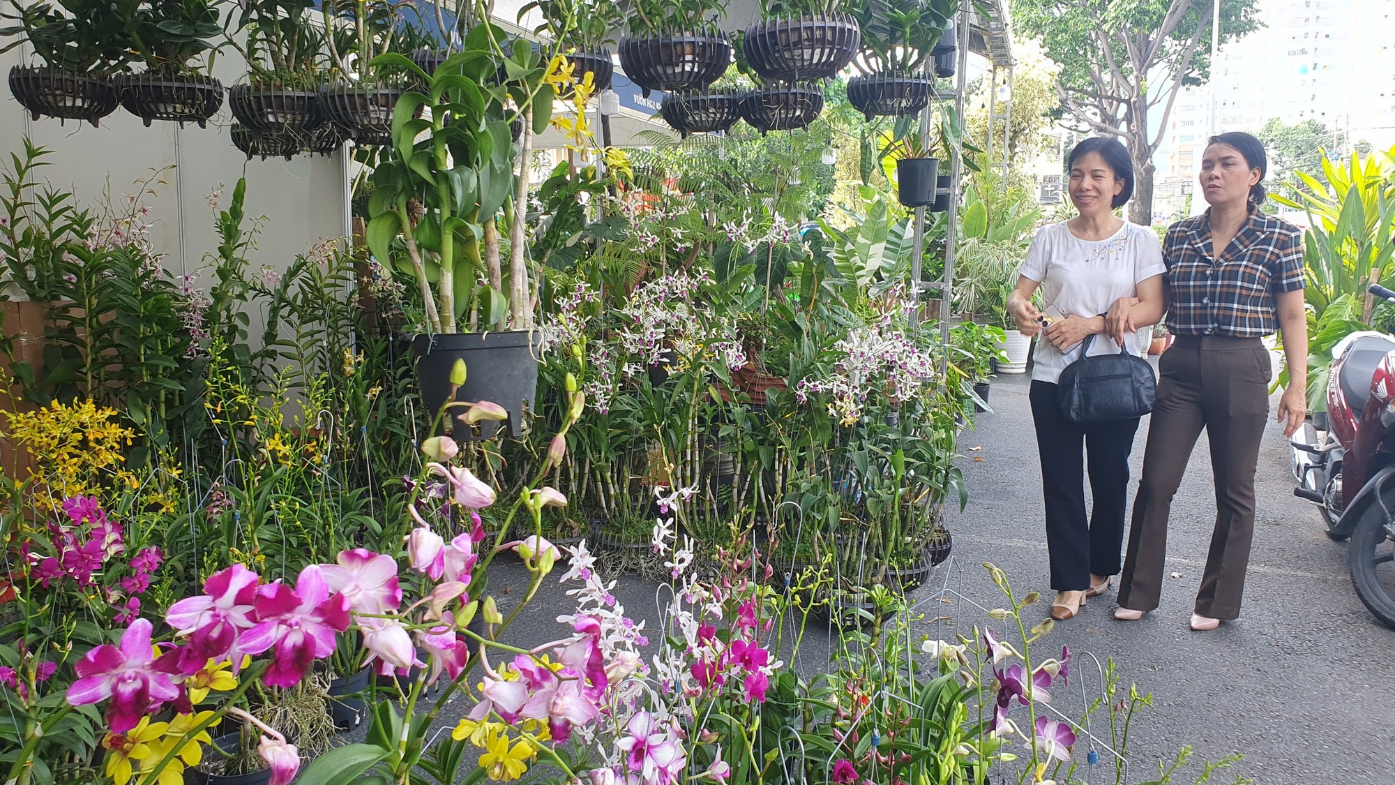 TP HCM: Kh&aacute;m chữa bệnh miễn ph&iacute; cho th&uacute; cưng, trưng b&agrave;y chim săn mồi tại Tuần lễ sinh vật cảnh 2023 - Ảnh 13.