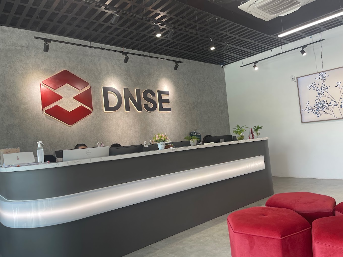 DNSE sắp ch&agrave;o b&aacute;n h&agrave;ng chục triệu cổ phiếu lần đầu ra c&ocirc;ng ch&uacute;ng, dự kiến huy động hơn 900 tỉ đồng - Ảnh 1.