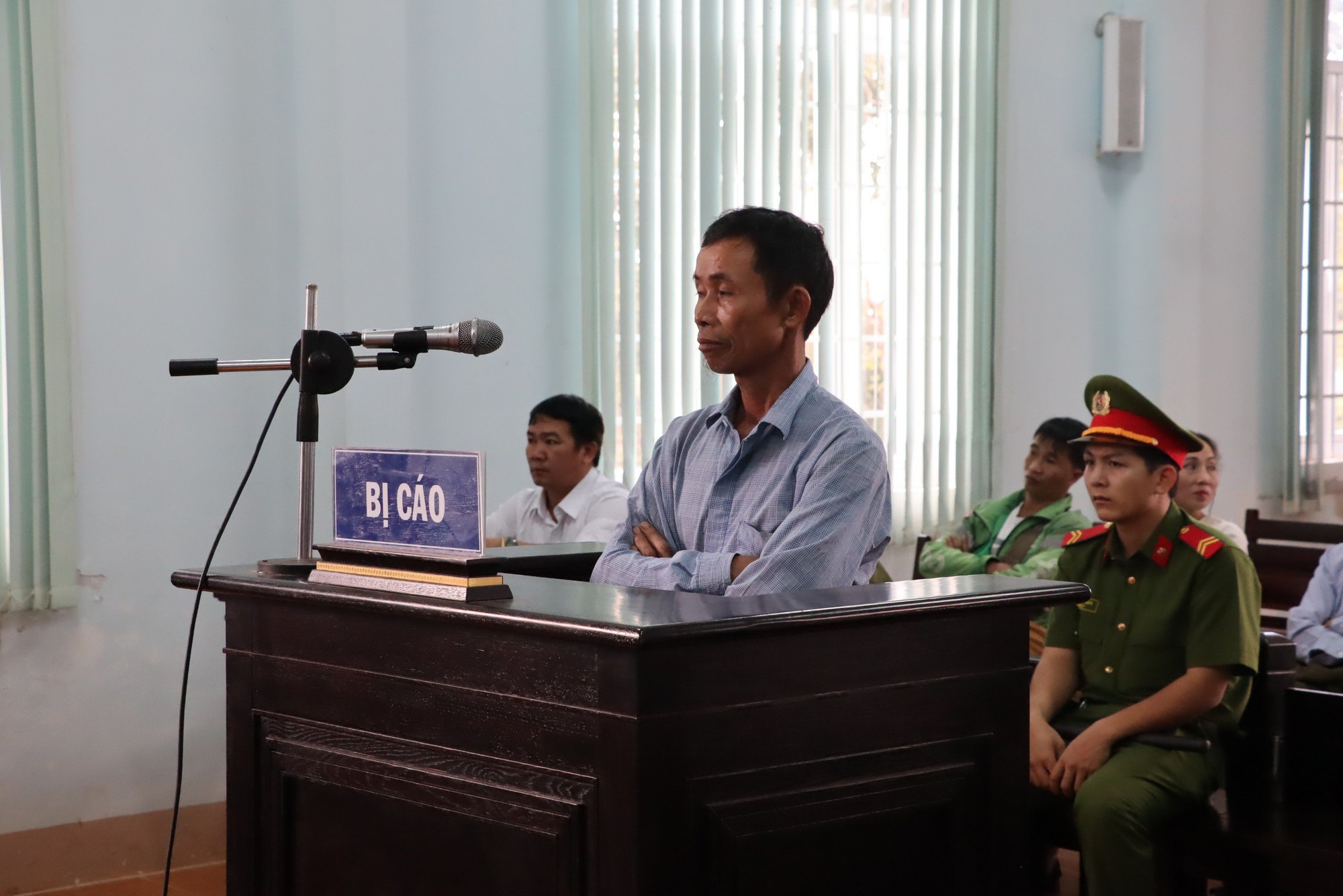 Tranh luận "nảy lửa" vụ xét xử người lấy 1 khúc gỗ muồng