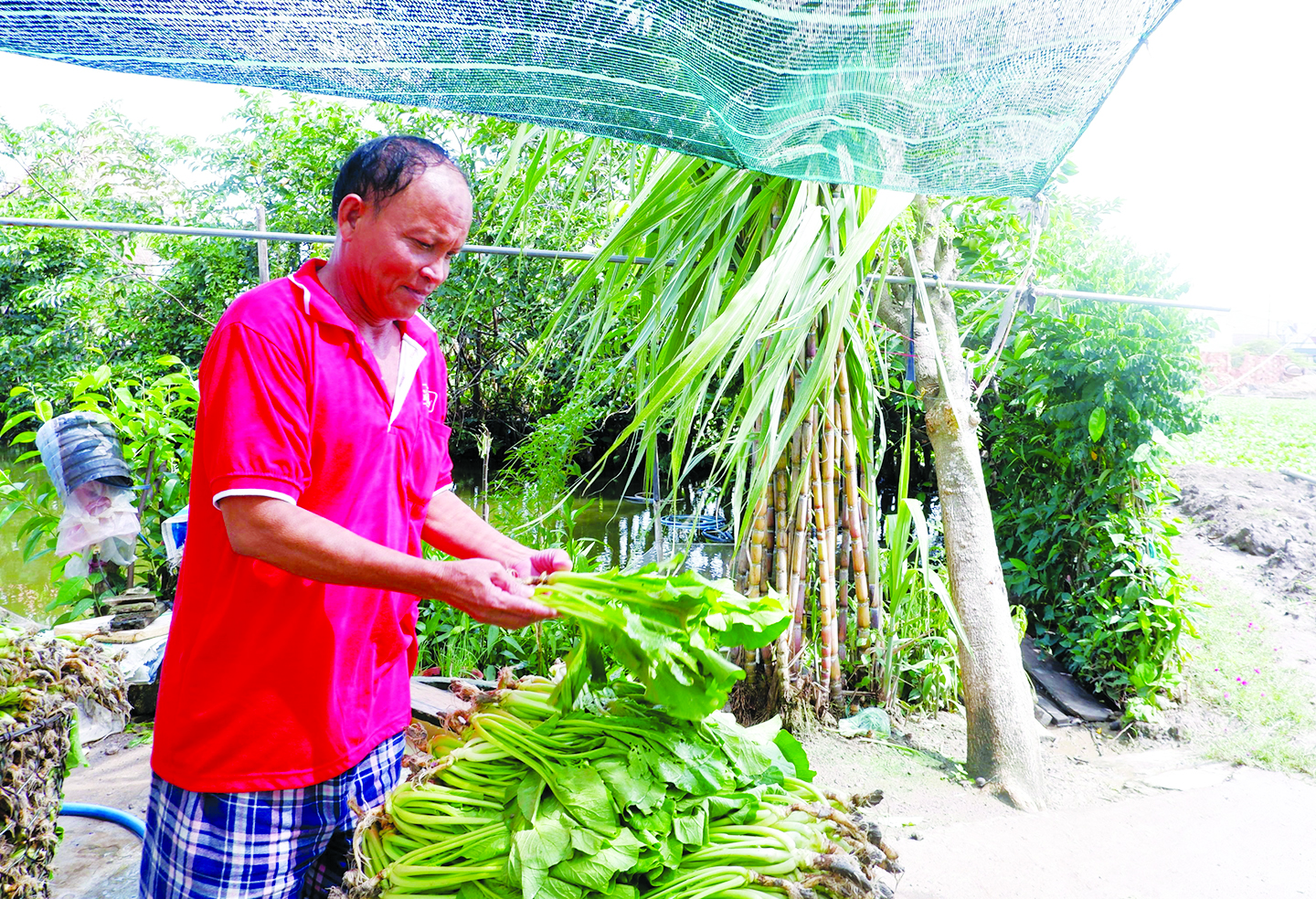 Long An: Sẻ chia, bảo đảm quyền lợi cho người khuyết tật - Ảnh 2.