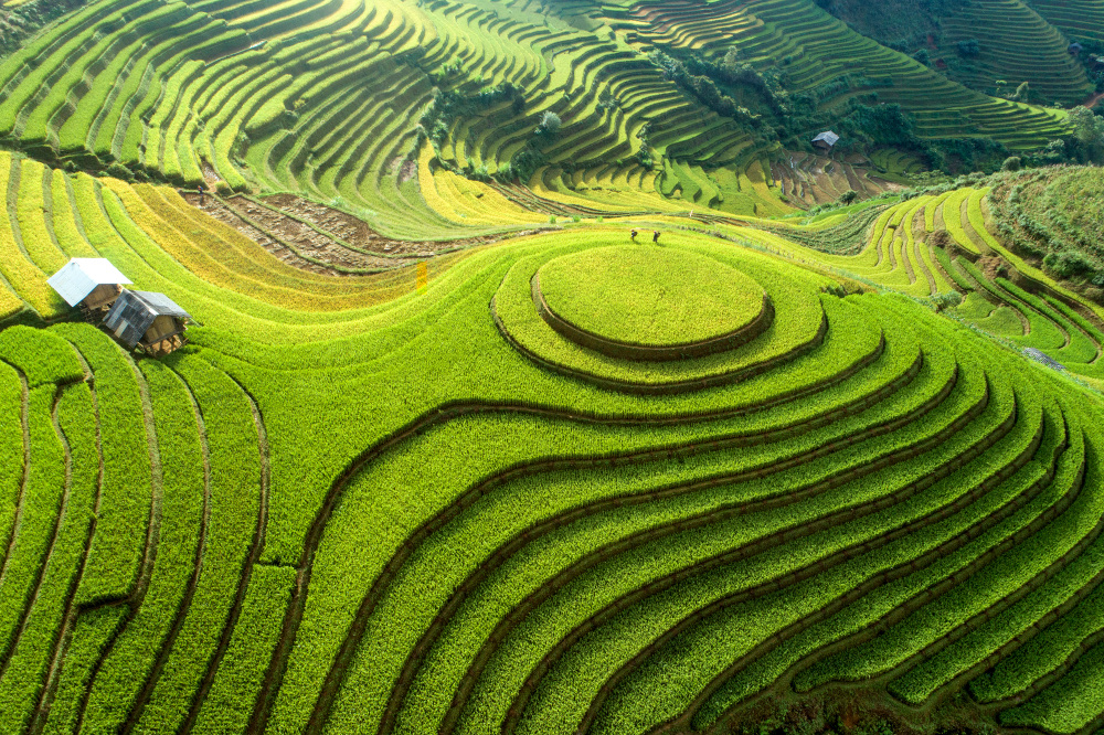 Saigontourist ưu đãi đến 30 triệu đồng tại Hội chợ Du lịch ITE - Ảnh 3.