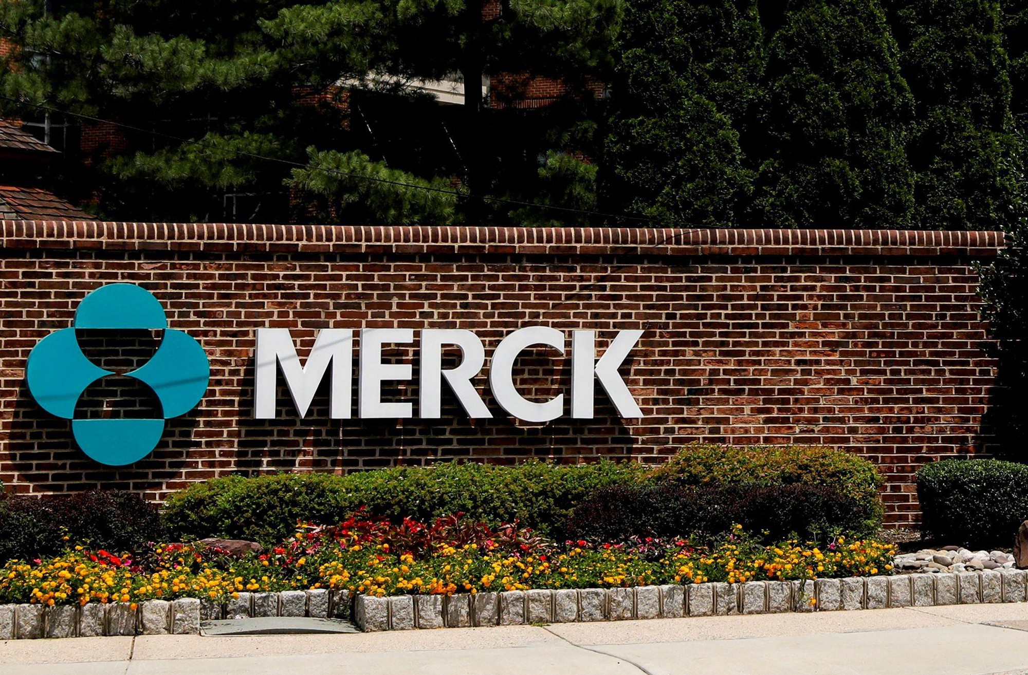 Merck tăng trưởng nhờ thu mua thương hiệu lớn - Ảnh 1. Merck tăng trưởng nhờ thu mua thương hiệu lớn - Ảnh 1.