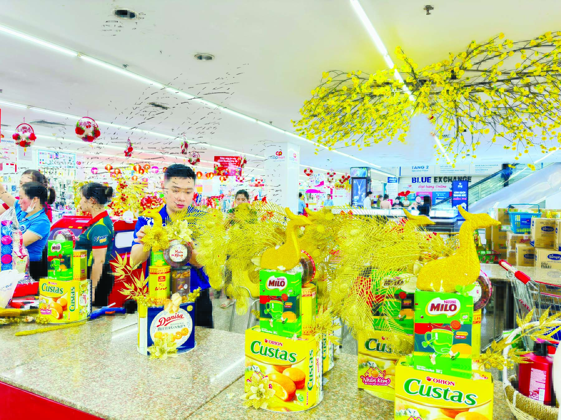 Co.opmart, Co.opXtra tung nhiều giỏ quà Tết hình thức độc lạ