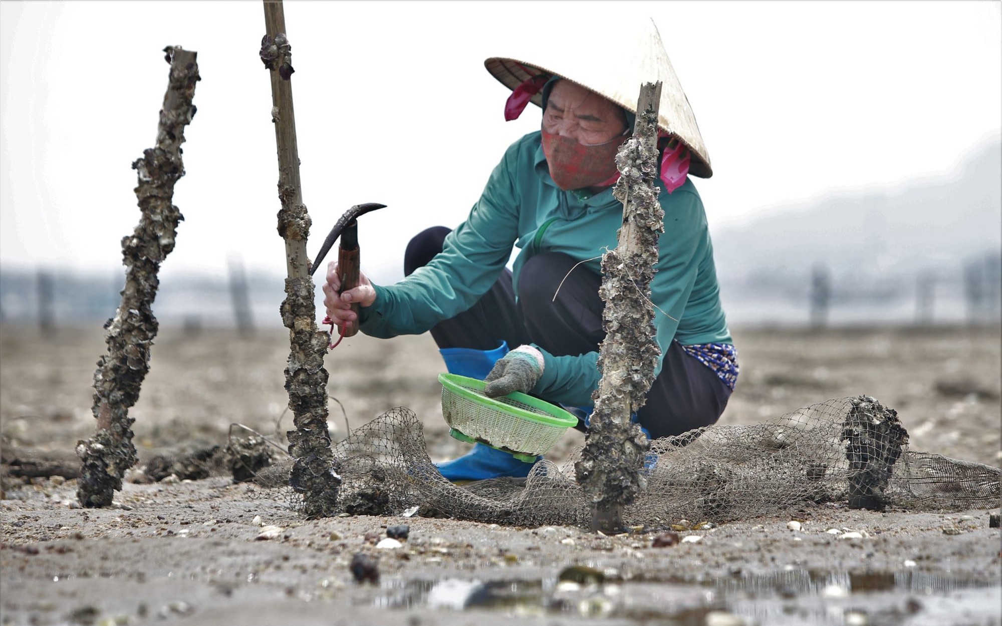 Những phụ nữ mưu sinh trong mưa lạnh ở cửa biển
