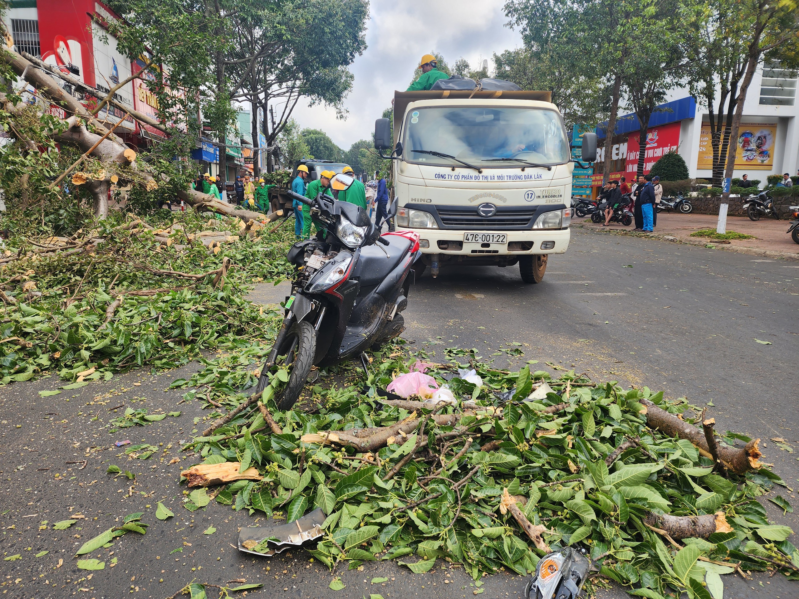 Bu&ocirc;n Ma Thuột: C&acirc;y cổ thụ g&atilde;y đổ, đ&egrave; người đi đường- Ảnh 5.