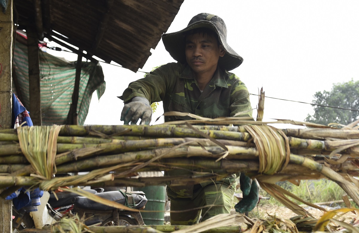 "Thủ phủ" mật m&iacute;a lớn nhất xứ Thanh đỏ lửa ng&agrave;y đ&ecirc;m phục vụ d&acirc;n ăn Tết- Ảnh 3.