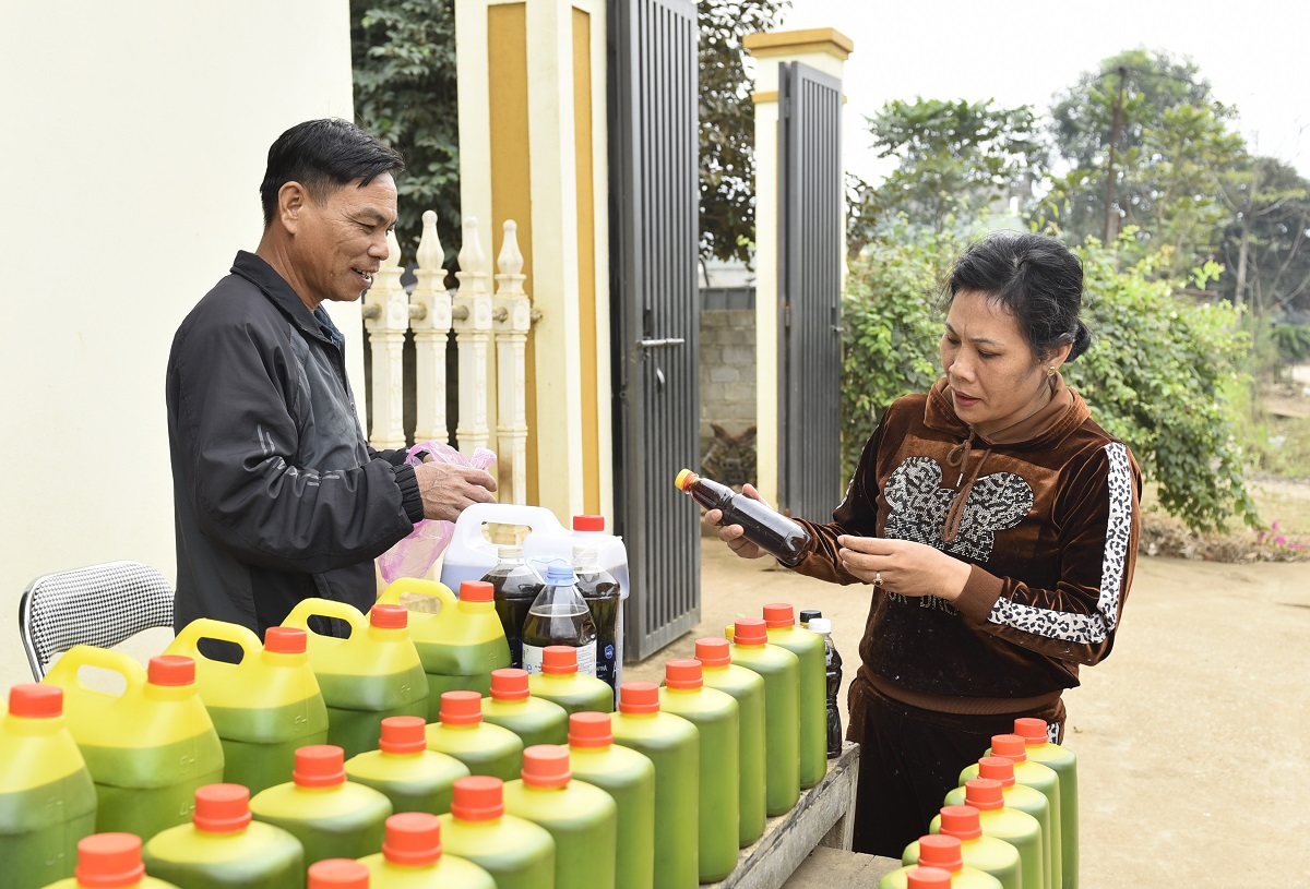 "Thủ phủ" mật m&iacute;a lớn nhất xứ Thanh đỏ lửa ng&agrave;y đ&ecirc;m phục vụ d&acirc;n ăn Tết- Ảnh 11.