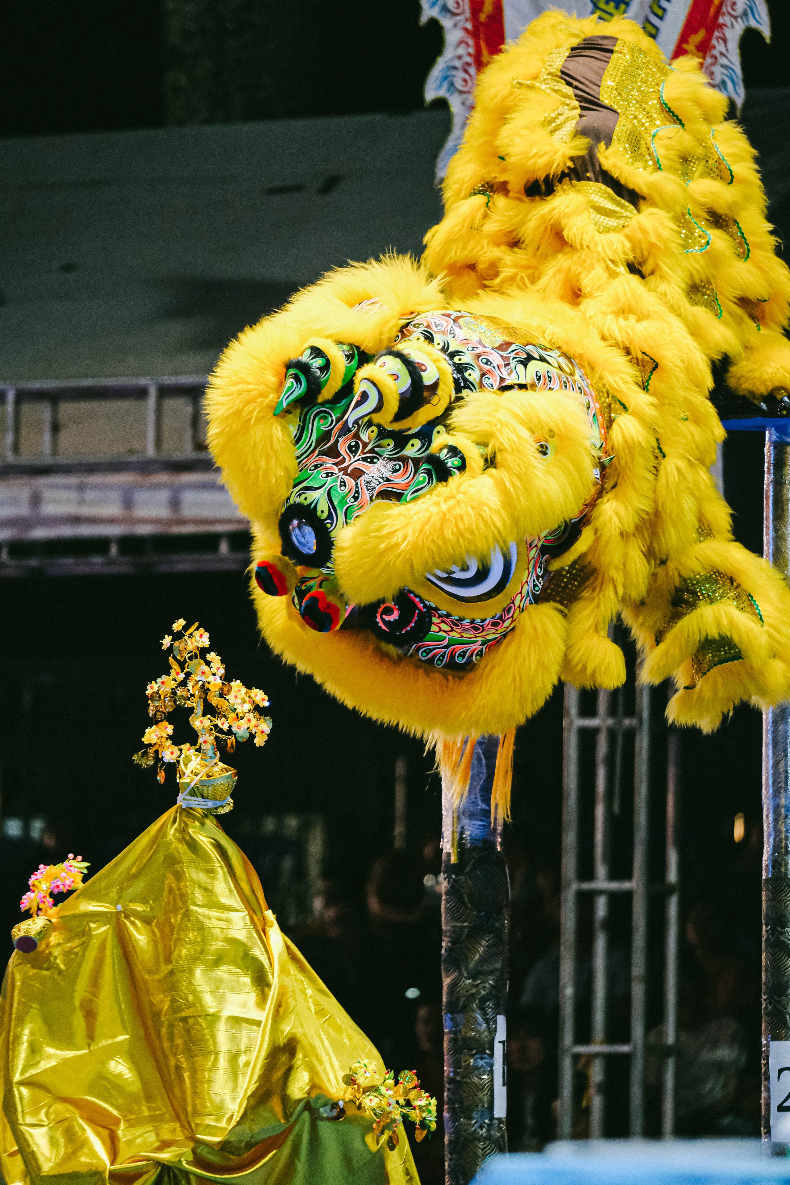 Những màn tranh tài Lân Mai Hoa Thung mãn nhãn- Ảnh 11.