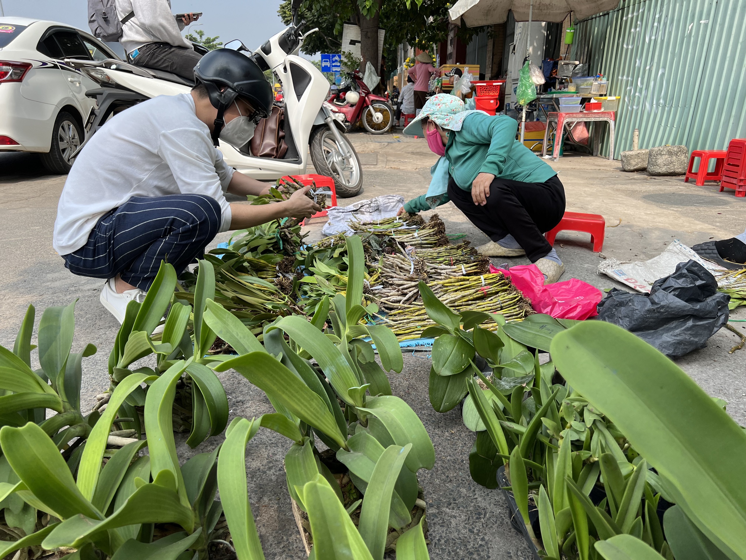 Hoa kiểng Tết tràn ra đường, giá dễ chịu - Ảnh 4.